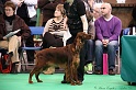 Crufts2011 278
